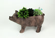 Brown - Image 6 - Rustic Brown Smiling Pig Resin Decorative Planter - 17 Inches Long - Great For Flowers and Succulents -