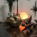 Bronze/Copper Finish Steampunk Nautilus Shell Sea Monster Fantasy Décor Tabletop Statue: Captivating 9-Inch Long Maritime