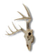 Lifelike 10-Point Buck Deer Skull Replica - Exquisite Wall Hanging for Man Caves and Nature Enthusiasts - Intricately Crafted