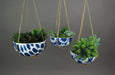Set of 3 Blue and White Shibori Style Dyed Ceramic Hanging Mini Planters Plant Décor Image 3