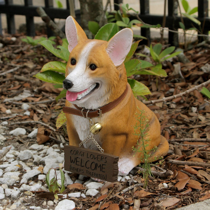 11.5 Inch Tall Jasper the Welsh Corgi Dog Realistic Lifelike Statue with Reversible Sign Image 5