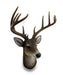 12 Point Buck Deer Head Bust Wall Hanging Lodge Decor Trophy Mount 23.5 Inches Image 1