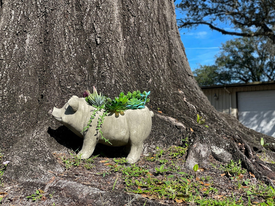 Grey - Image 5 - Charming Rustic Weathered Grey Smiling Pig Resin Planter Plant Pot - Adorable Outdoor Décor Accent for