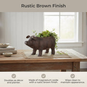 Brown - Image 6 - Rustic Brown Smiling Pig Resin Decorative Planter - 17 Inches Long - Great For Flowers and Succulents -