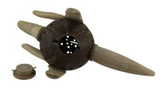 Dinosaurus Rex Wood & Coconut Shell Coin Bank Image 4