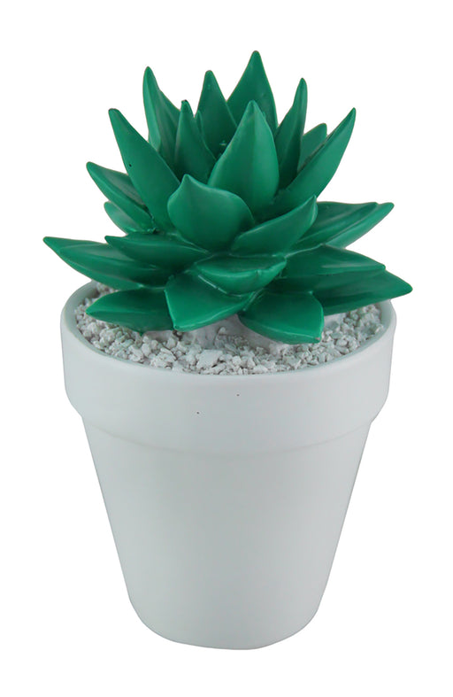 Bright Green Mini Ceramic Succulent in White Round Planter Image 1