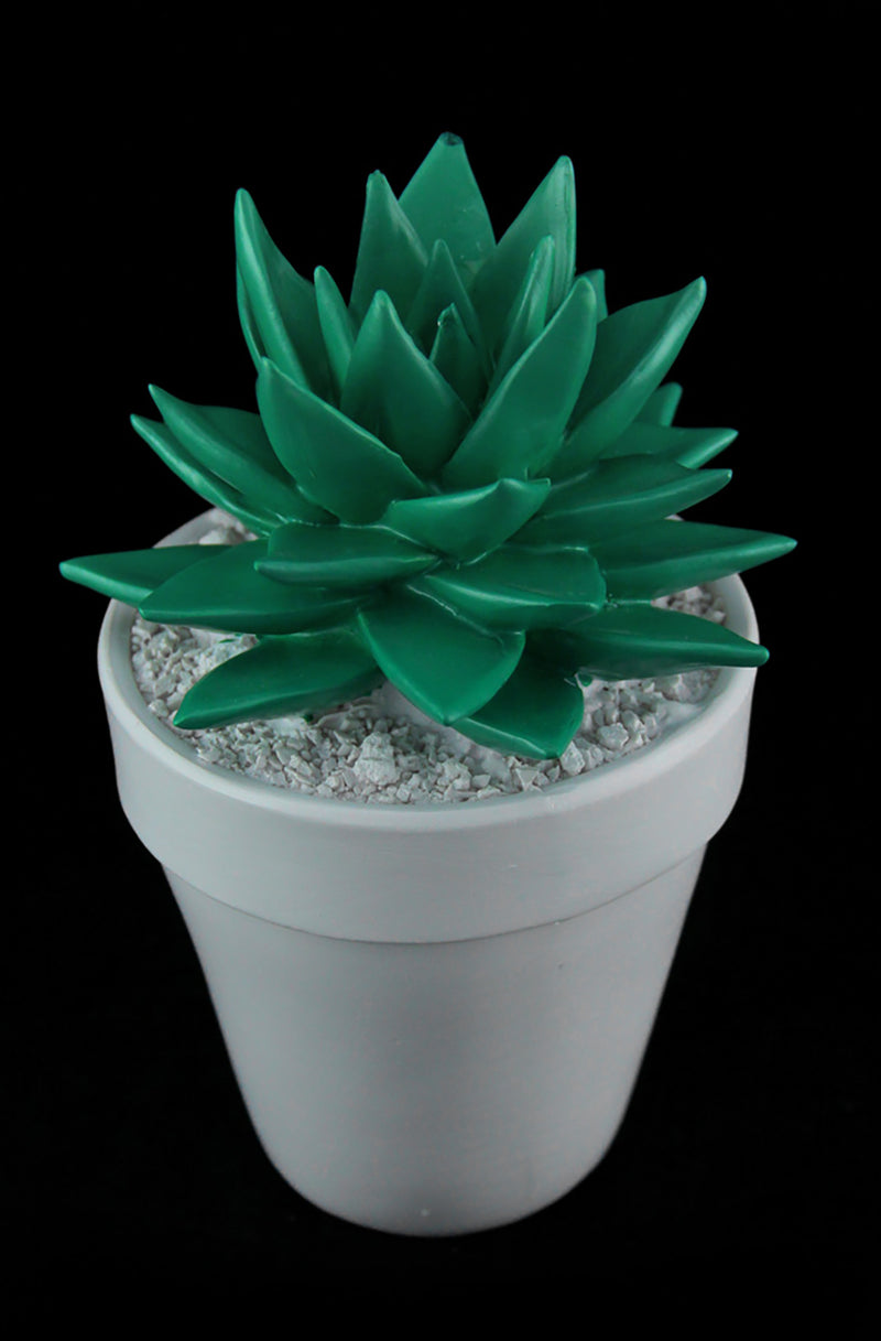 Bright Green Mini Ceramic Succulent in White Round Planter Image 2