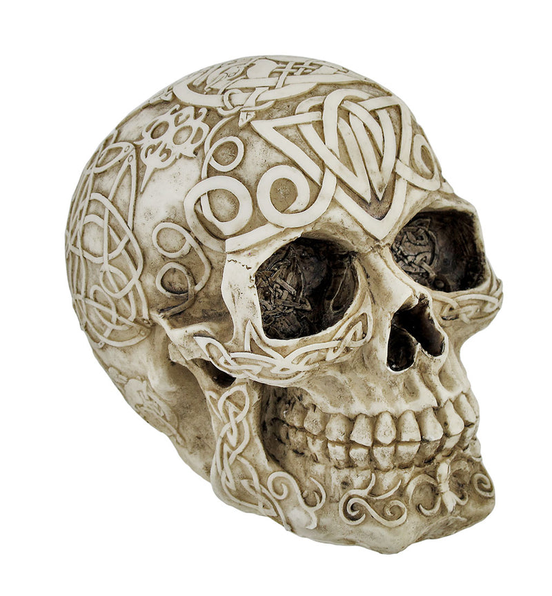 Celtic Owl Knotwork Human Skull Statue Pagan Image 1