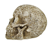 Celtic Owl Knotwork Human Skull Statue Pagan Image 2