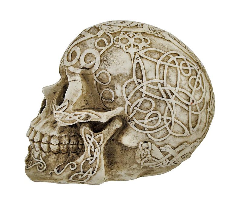 Celtic Owl Knotwork Human Skull Statue Pagan Image 2