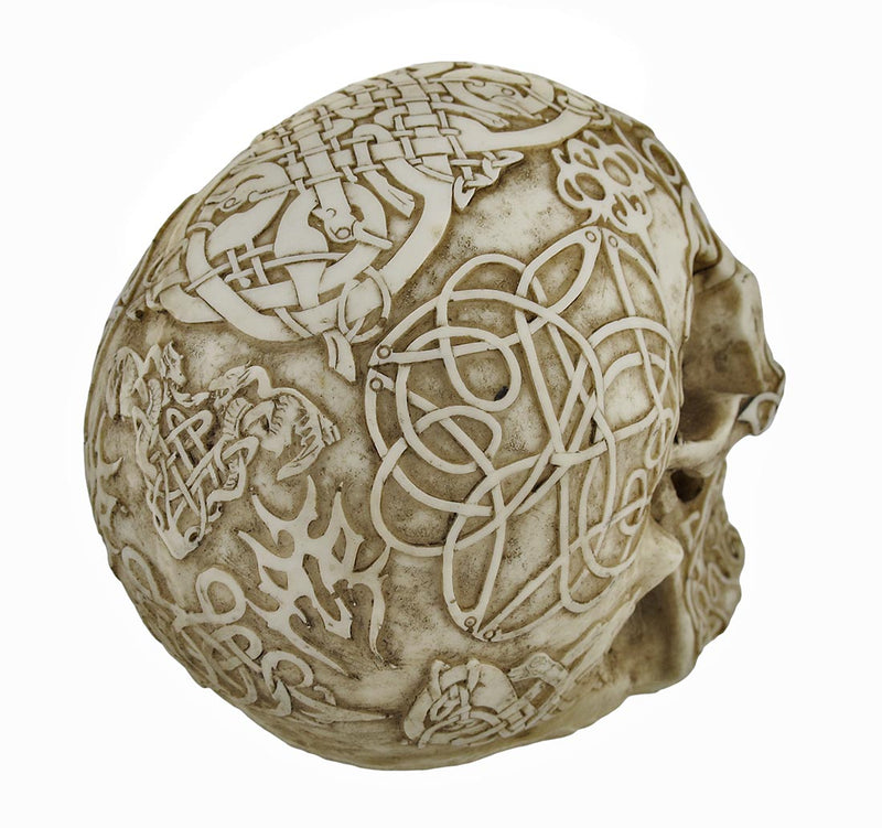 Celtic Owl Knotwork Human Skull Statue Pagan Image 4