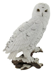 Beautiful Snowy Owl on a Branch Statue Image 1