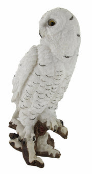 Beautiful Snowy Owl on a Branch Statue Image 2