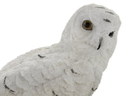 Beautiful Snowy Owl on a Branch Statue Image 4
