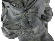 `Alice In Wonderland` White Rabbit Garden Statue - RESIN Image 5