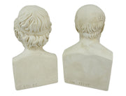 Aristotle and Homer Bust Antique White Plaster Bookends: Timeless Grecian Philosophy Sculptures, 8 Inches High, Decorative