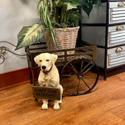 Labrador Retriever Garden Statue with Reversible Welcome Sign, 13.5 Inch Image 11