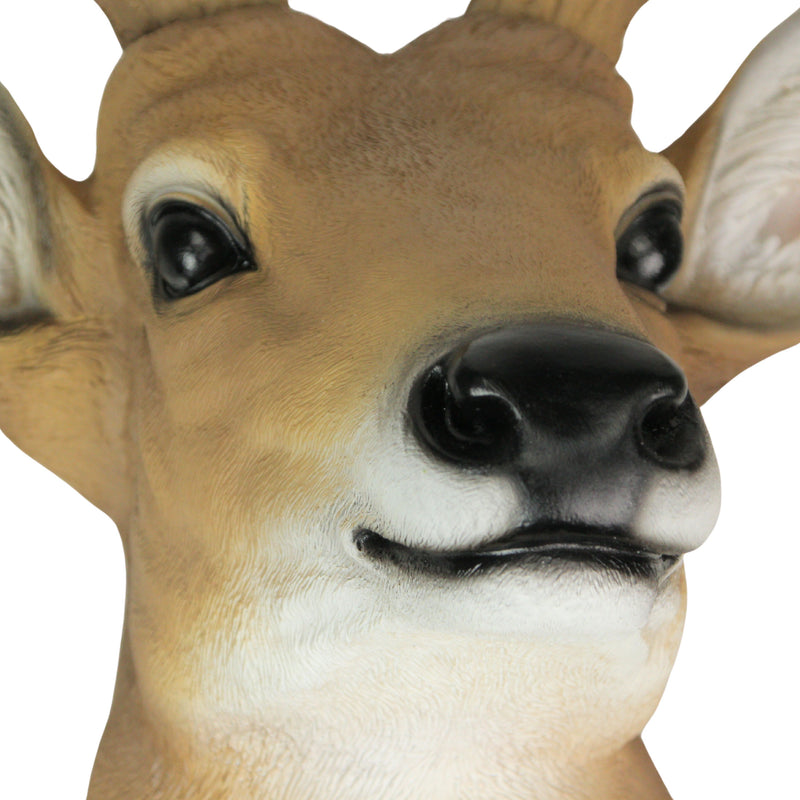 12 Point Buck Deer Head Bust Wall Hanging Lodge Decor Trophy Mount 23.5 Inches Image 8