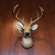 12 Point Buck Deer Head Bust Wall Hanging Lodge Decor Trophy Mount 23.5 Inches Image 4