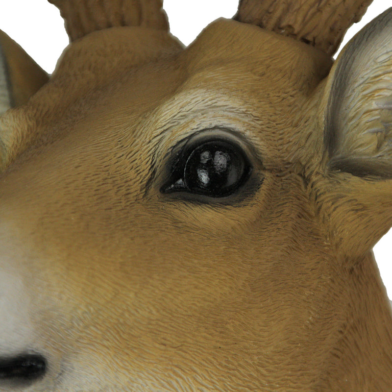 Brown - Image 9 - 8 Point Buck Wall Mounted Fake Deer Head - Faux Taxidermy Antler Animal Sculpture - 13 Inch High Resin Fall