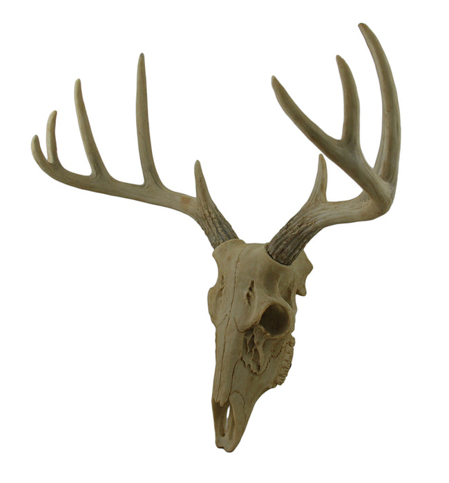 Little Bucky - 15-Inch Wall Mounted Faux Deer Skull With 10-Point Antlers - Hand-Painted Aged Finish - Lodge or Western Charm