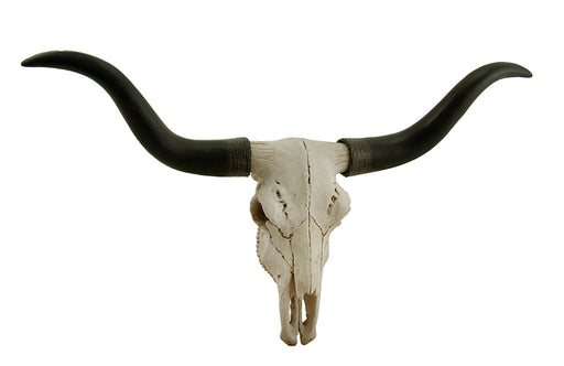 Handcrafted 20-Inch Black & Bone Longhorn Trophy Skull Wall Sculpture - Realistic Faux Steer Head with Intricate Detailing,