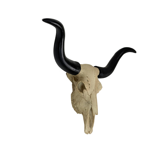 Longhorn Skull Wall Sculpture, 20 Inch Black Horns, Faux Bone Image 2