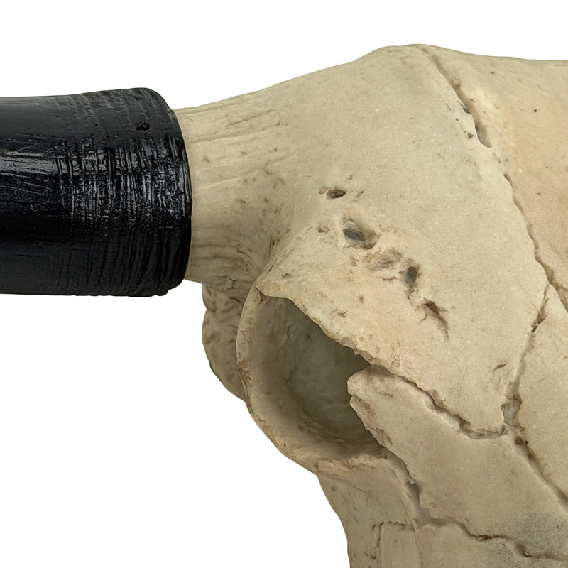 Longhorn Skull Wall Sculpture, 20 Inch Black Horns, Faux Bone Image 10