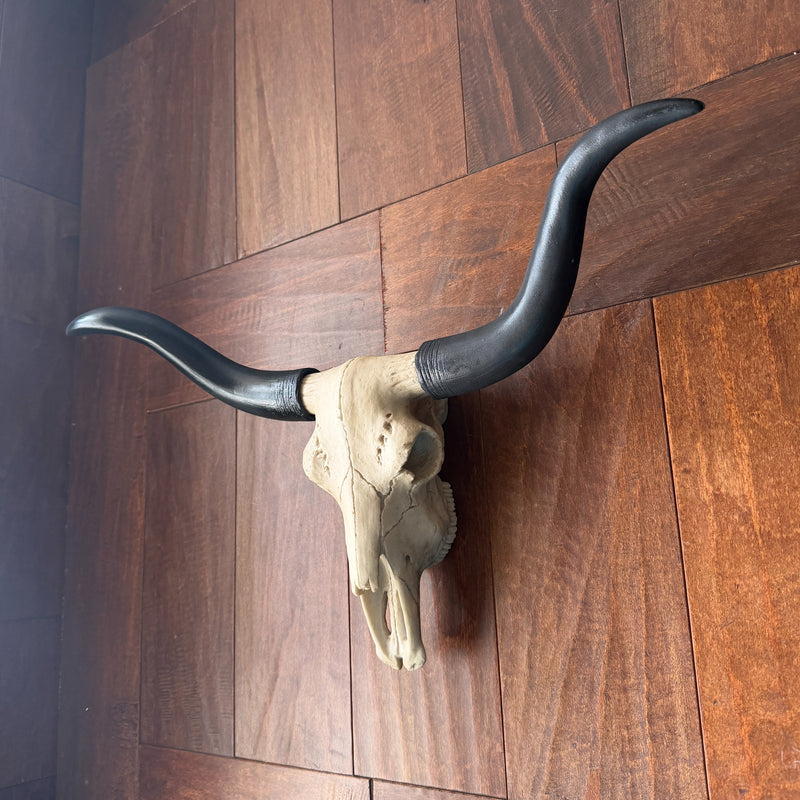 Longhorn Skull Wall Sculpture, 20 Inch Black Horns, Faux Bone Image 4