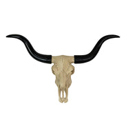 Longhorn Skull Wall Sculpture, 20 Inch Black Horns, Faux Bone Image 1
