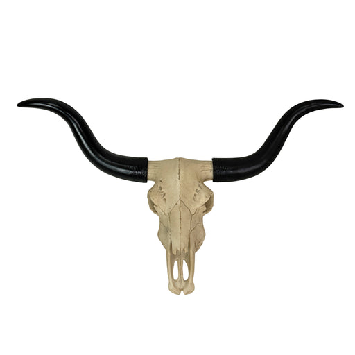 Longhorn Skull Wall Sculpture, 20 Inch Black Horns, Faux Bone Image 1