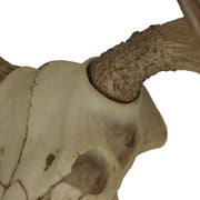 Large Lifelike Bull Moose Skull Hanging Wildlife Decor Statue - Intricately Sculpted, Hand-Painted Faux Taxidermy Art,