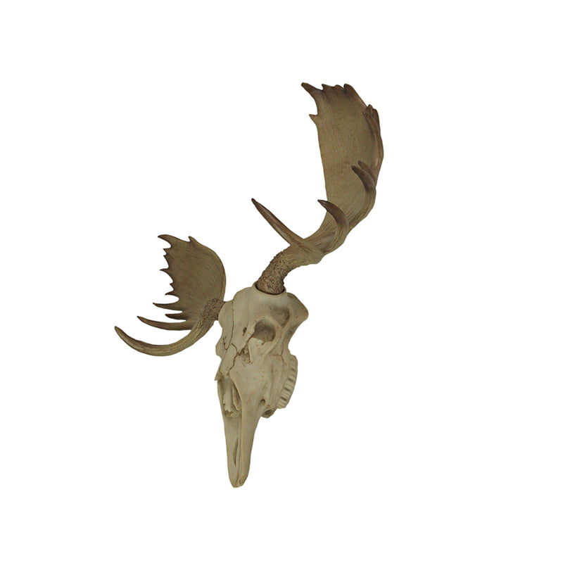 Large Lifelike Bull Moose Skull Hanging Wildlife Decor Statue - Intricately Sculpted, Hand-Painted Faux Taxidermy Art,