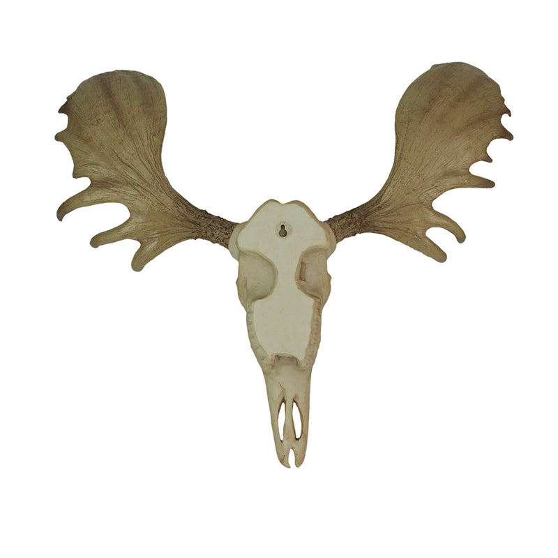 Large Lifelike Bull Moose Skull Hanging Wildlife Decor Statue - Intricately Sculpted, Hand-Painted Faux Taxidermy Art,
