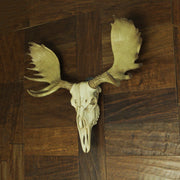 Large Lifelike Bull Moose Skull Hanging Wildlife Decor Statue - Intricately Sculpted, Hand-Painted Faux Taxidermy Art,