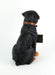 Guardian of Love - Buddy Rottweiler Welcome Statue with Reversible Sign - Adorable Canine Charm for Indoor and Outdoor