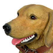Golden Retriever Dog Statue with Reversible Sign, 13 Inch Image 10