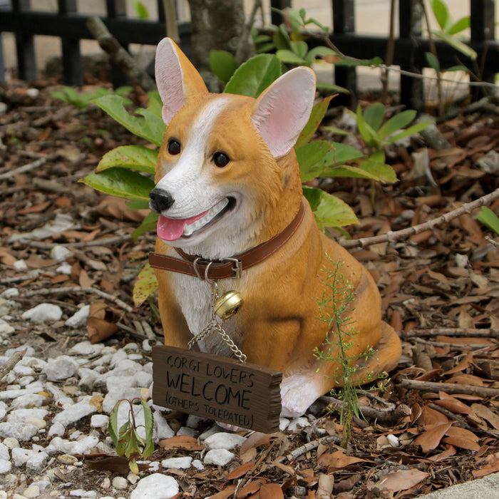 11.5 Inch Realistic Welsh Corgi Dog Statue with Reversible Sign, Cute Resin Pet Decor for Home, Garden, and Patio Image 5