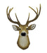 Lifelike Faux 8 Point Buck Deer Head Bust Wall Mount Hanging 23 inch Image 1