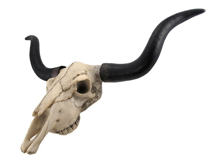Huge 27.5-Inch Wide Long Horn Steer Skull Resin Wall Hanging for Western Themed Bedrooms and Living Rooms - Simple