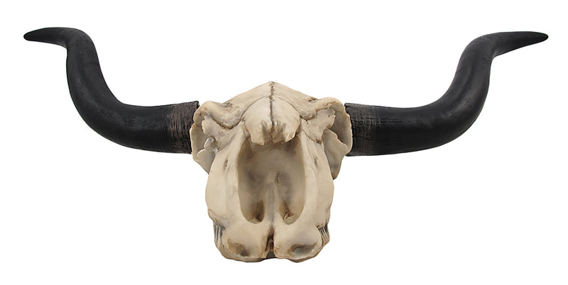 Huge 27.5-Inch Wide Long Horn Steer Skull Resin Wall Hanging for Western Themed Bedrooms and Living Rooms - Simple