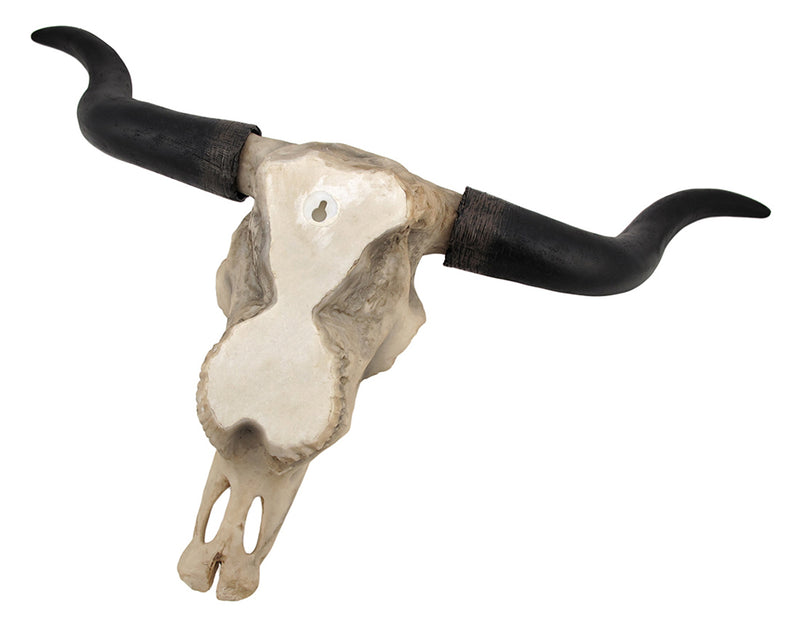 Huge 27.5-Inch Wide Long Horn Steer Skull Resin Wall Hanging for Western Themed Bedrooms and Living Rooms - Simple