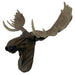 North American Moose Head Bust Wall Hanging Image 7