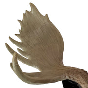 Moose Head Bust Wall Sculpture, 20 x 23 Inch Brown Painted Resin North American Moose Wall Mount for Rustic Lodge, Cabin, Man