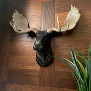 Moose Head Bust Wall Sculpture, 20 x 23 Inch Brown Painted Resin North American Moose Wall Mount for Rustic Lodge, Cabin, Man