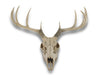 Lifelike 10-Point Buck Deer Skull Replica - Exquisite Wall Hanging for Man Caves and Nature Enthusiasts - Intricately Crafted