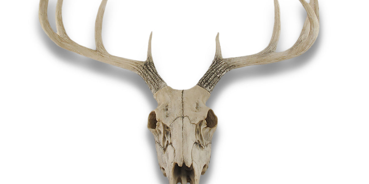 10 Point Buck Deer Skull Bust Wall Hanging — Zeckos
