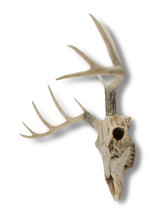 Lifelike 10-Point Buck Deer Skull Replica - Exquisite Wall Hanging for Man Caves and Nature Enthusiasts - Intricately Crafted