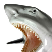 Zeckos Great White Shark Head Wall Sculpture, 16 Inch Image 3