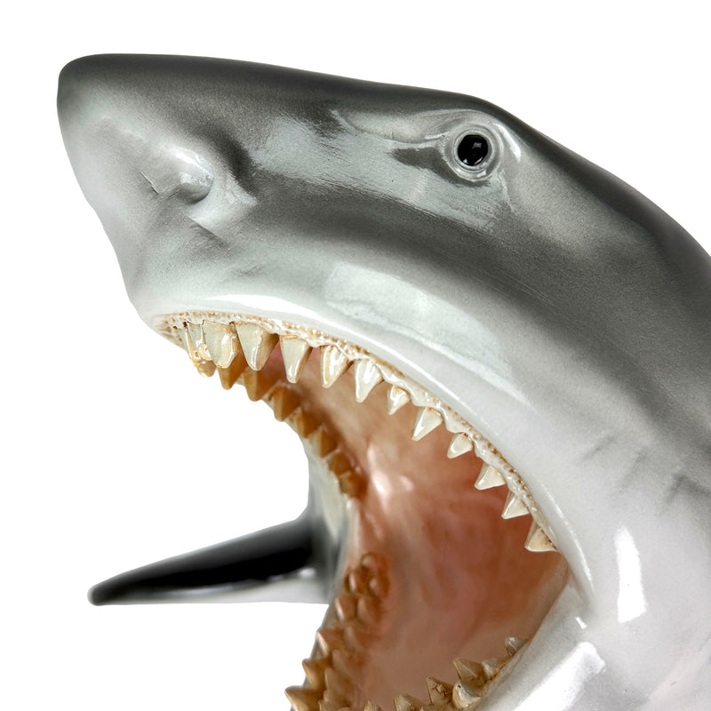 Zeckos Great White Shark Head Wall Sculpture, 16 Inch Image 3